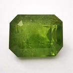 Zonder Minimumprijs Olivijn - 12.90 ct - Antwerp Laboratory, Sieraden, Tassen en Uiterlijk, Edelstenen, Nieuw