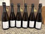 colin, Champagne Colin “Alliance Brut” – Côte des Blancs,, Nieuw