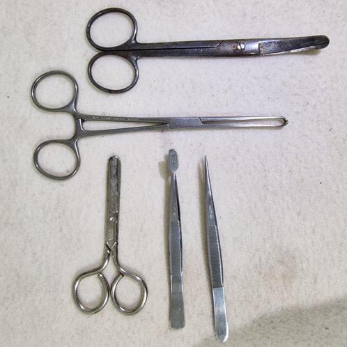 Vintage Medical & Surgical Instrument Lot (5 pcs) -, Verzamelen, Dierenverzamelingen
