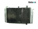 Radiateur Honda FJS 600 2001-2004 +ABS Silverwing (FJS600, Verzenden, Gebruikt