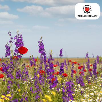 Wilde Bloemenzaad Mengsel – 100 gram | Goed voor Bijen, Vlin beschikbaar voor biedingen