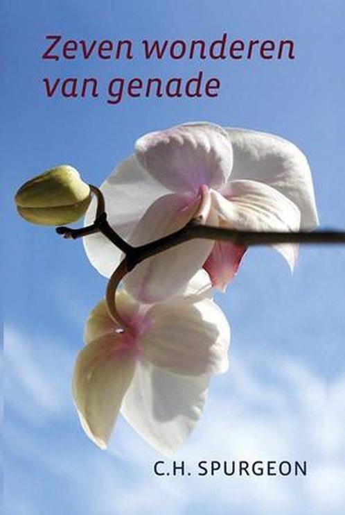 Zeven wonderen van genade 9789033128882 P. Zandt, Boeken, Godsdienst en Theologie, Zo goed als nieuw, Verzenden