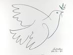 Pablo Picasso (1881-1973) - Dove of Peace - Friedenstaube,