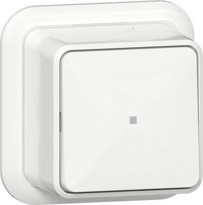 Gira 2-Weg Drukknop Schakelaar Met Controlevenster 10A 250V, Doe-het-zelf en Verbouw, Elektra en Kabels, Overige typen, Nieuw