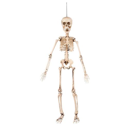 Halloween Skelet 50cm, Hobby en Vrije tijd, Feestartikelen, Nieuw, Verzenden