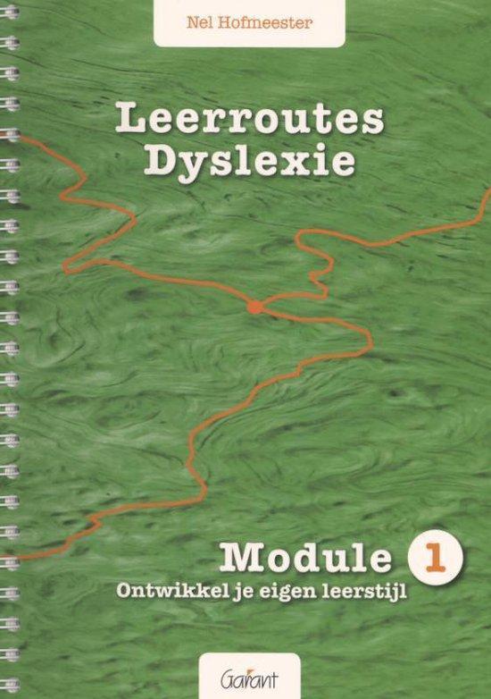 9789044132038 Leerroutes dyslexie Module 1: ontwikkel je ..., Boeken, Schoolboeken, Zo goed als nieuw, Verzenden