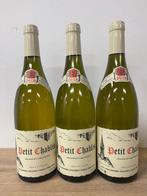 2018 Vincent Dauvissat, Petit Chablis - Chablis - 3 Flessen, Nieuw