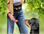 Trixie BE NORDIC Sling Tas: De stijlvolle must-have voor ond, Dieren en Toebehoren, Honden-accessoires, Verzenden, Nieuw