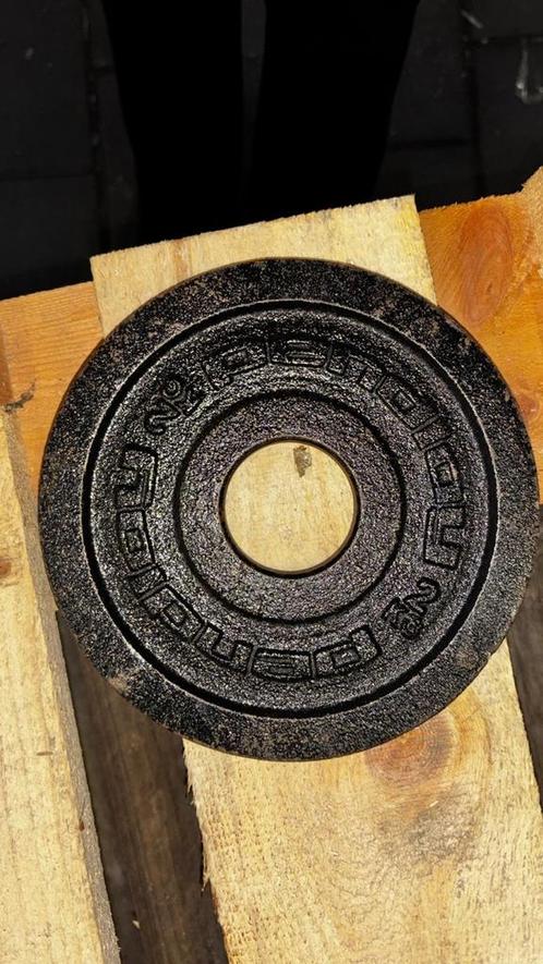 Pendloy 2 kg halterschijven, Sport en Fitness, Fitnessapparatuur, Gebruikt, Verzenden