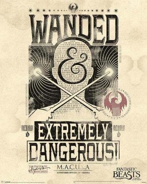 Poster Fantastic Beasts Extremely Dangerous 40x50cm, Verzamelen, Posters, Nieuw, A1 t/m A3, Verzenden