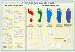 Anatomie poster voet en voetafwijkingen (Nederlands, gela..., Verzenden, Nieuw