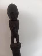 Tun tun stok - Kalimantan - Iban Dayak - Indonesië (Zonder