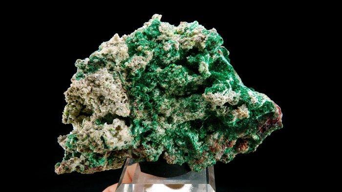 Malachiet met Dolomiet Tsumeb-mijn, Oshikoto, Namibië -, Verzamelen, Mineralen en Fossielen