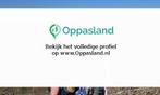 nick zoekt een oppas in Deurne voor 2 kinderen voor 6 dag...