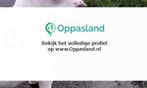 Gerardus zoekt een oppas in Bruinisse.