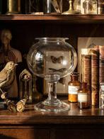 Themacollectie - Bloedzuigerspotje - Curiosité médicale