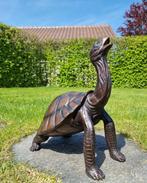 Beeldje - Levensechte schildpad - Brons, Antiek en Kunst