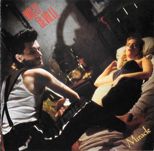 cd - Willy DeVille - Miracle, Cd's en Dvd's, Cd's | Overige Cd's, Zo goed als nieuw, Verzenden
