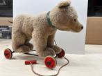 Steiff - Speelgoed Orso su rotelle - 1950-1960 - Duitsland, Antiek en Kunst, Antiek | Speelgoed