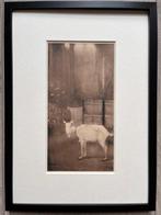 Jan Mankes (1889-1920), after - Originele Ingelijste