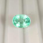 Zonder Minimumprijs - 1 pcs Groen Smaragd - 1.54 ct -, Nieuw