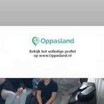 Ik ben Johanna, 63 jaar oud en ik zoek oppaswerk in Apeld..., Diensten en Vakmensen, Dieren | Katten | Verzorging, Oppas en Les