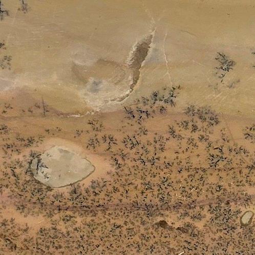Rechthoekige kalkstenen dendritische lambrisering op een, Verzamelen, Mineralen en Fossielen