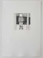 Roger Raveel (1921-2013) - Waarom