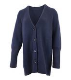 Icebreaker Vest in maat XS Blauw, Icebreaker, Verzenden, Zo goed als nieuw, Blauw