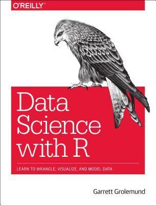 R For Data Science 9781491910399, Boeken, Studieboeken en Cursussen, Zo goed als nieuw, Verzenden