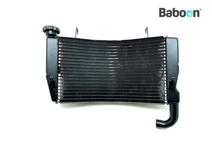 Radiateur Ducati 749 (54840412A), Motoren, Onderdelen | Ducati, Gebruikt, Verzenden