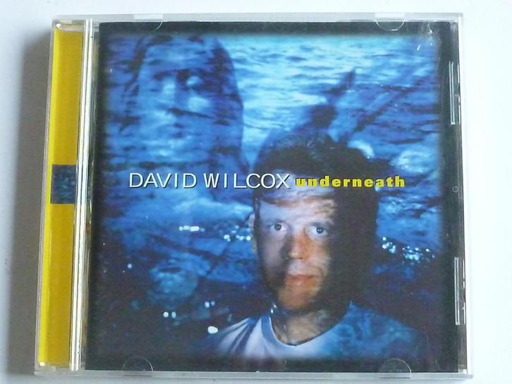 David Wilcox - Underneath, Cd's en Dvd's, Cd's | Pop, Zo goed als nieuw, Verzenden