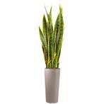 Sansevieria kunstplant, H115cm, Huis en Inrichting, Kamerplanten, Ophalen of Verzenden