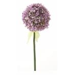 Kunstbloem Sierui / Allium lila 70 cm - Overige kunstbloemen, Huis en Inrichting, Kamerplanten, Ophalen of Verzenden
