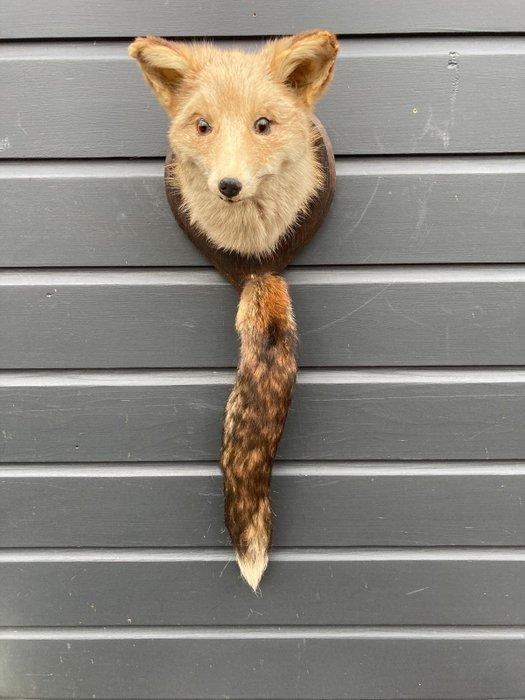 Jachttrofee, Verzamelen, Dierenverzamelingen