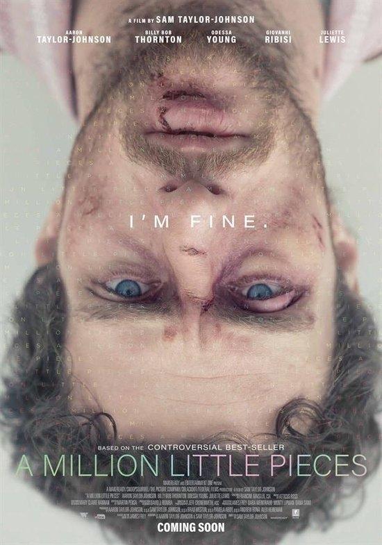 Million Little Pieces, a - DVD, Cd's en Dvd's, Dvd's | Drama, Verzenden