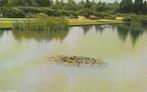 NIJMEGEN - Stadspark de Goffert, Verzenden, Gelopen