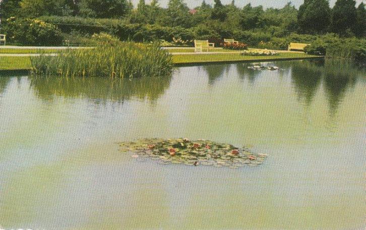 NIJMEGEN - Stadspark de Goffert, Verzamelen, Ansichtkaarten | Nederland, Verzenden
