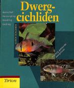DWERGCICHLIDEN 9789052103457 U. Schliewen, Verzenden, Zo goed als nieuw, U. Schliewen