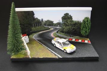 Diorama Nürburgring de groene hel 1:43 beschikbaar voor biedingen
