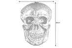 Exclusief wandsculptuur SKULL XXL 40cm gouden decoratieve, Huis en Inrichting, Woonaccessoires | Overige, Ophalen of Verzenden
