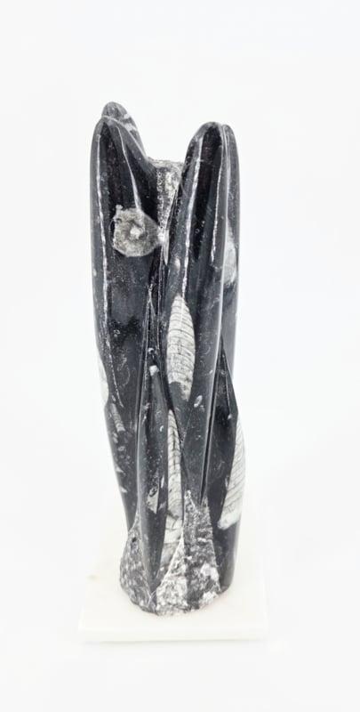 Orthoceras Sculptuur 1,6kg (zie filmpje), Verzamelen, Mineralen en Fossielen, Ophalen of Verzenden