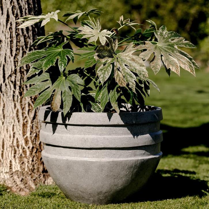 Vesta L 60x45 cm  Grey, Tuin en Terras, Bloembakken en Plantenbakken, Nieuw, Beton, Rond, Verzenden