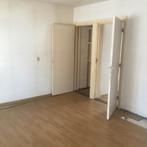 Appartement met meerdere slaapkamers en tijdelijke verhuur, Appartement, Direct bij eigenaar, Haarlem, Noord-Holland