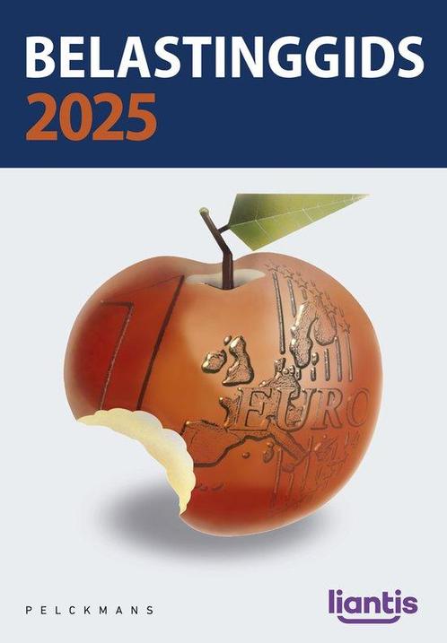 9789463838269 Belastinggids 2025 Pieter debbaut, Boeken, Economie, Management en Marketing, Nieuw, Verzenden