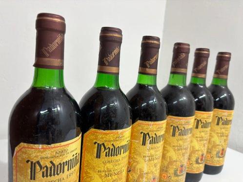 1997 & 1999 (x5) Bodegas Tenoira, Padorniña Mencía - Bierzo, Verzamelen, Wijnen