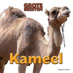Kameel / Grote Beesten 9789461752543 Stephanie Turnbull, Verzenden, Gelezen, Stephanie Turnbull