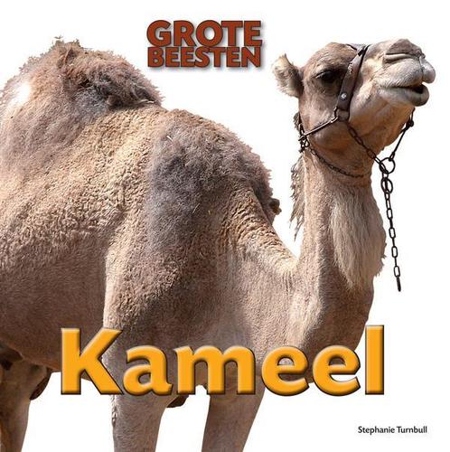 Kameel / Grote Beesten 9789461752543 Stephanie Turnbull, Boeken, Overige Boeken, Gelezen, Verzenden