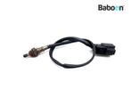 Lambda Sonde Harley-Davidson XL 1200 V Seventy Two 2012-2015, Verzenden, Gebruikt