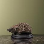 Egel Taxidermie volledige montage - Erinaceus europaeus - 8, Nieuw